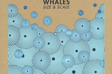 Whales size & scale art