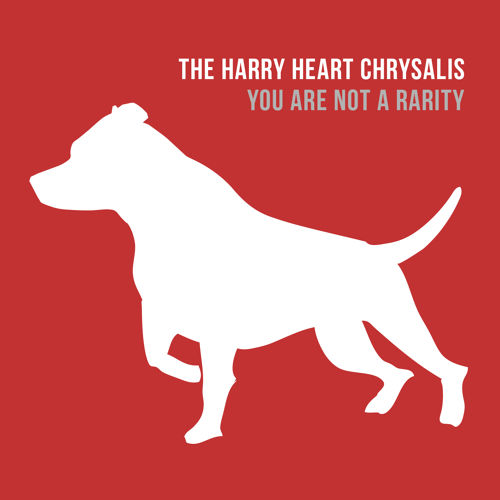 Harry Heart Chrysalis album art