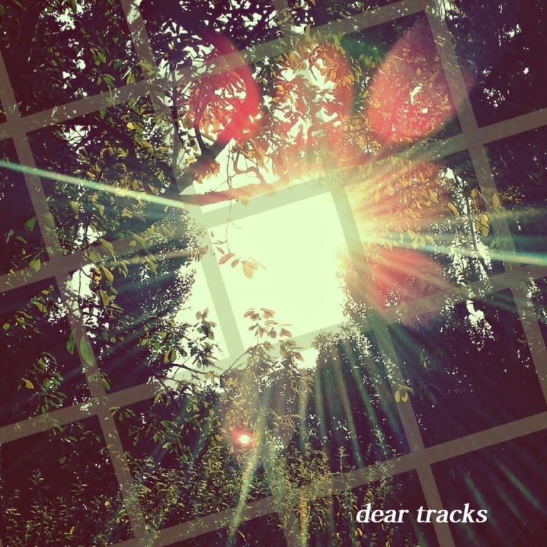 dear tracks aligning withe the sun