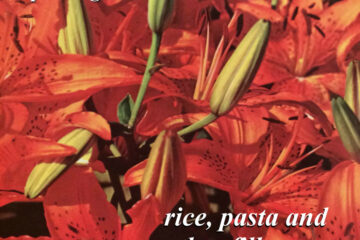 Porridge Radio rice pasta other fillers artwork