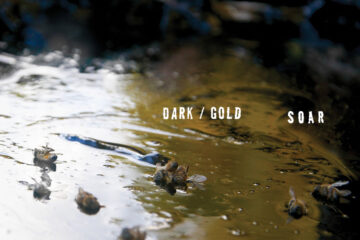 SOAR dark gold album cover