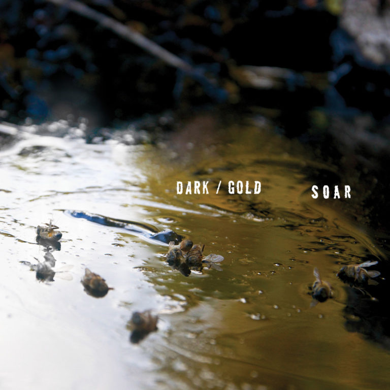 SOAR dark gold album cover