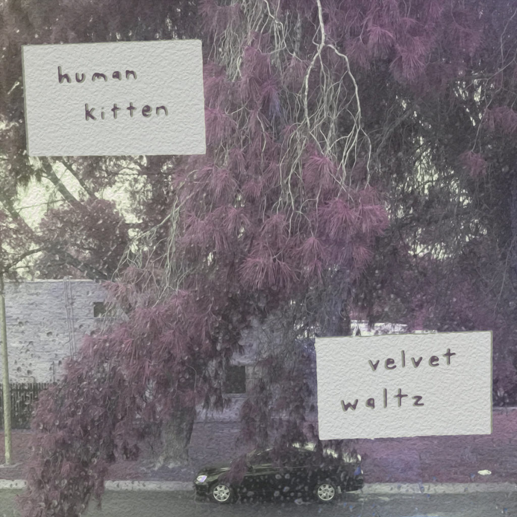 Human Kitten velvet waltz album cover