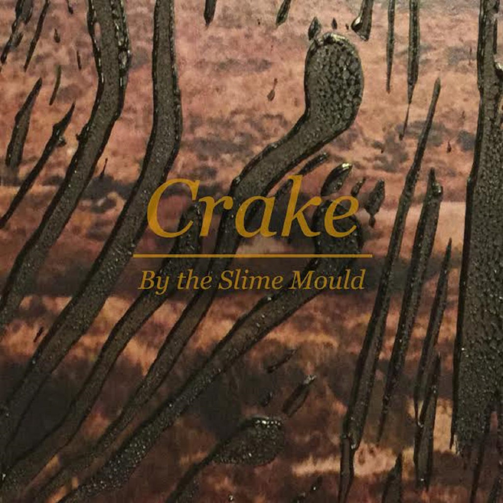 crake by the slime mould album art