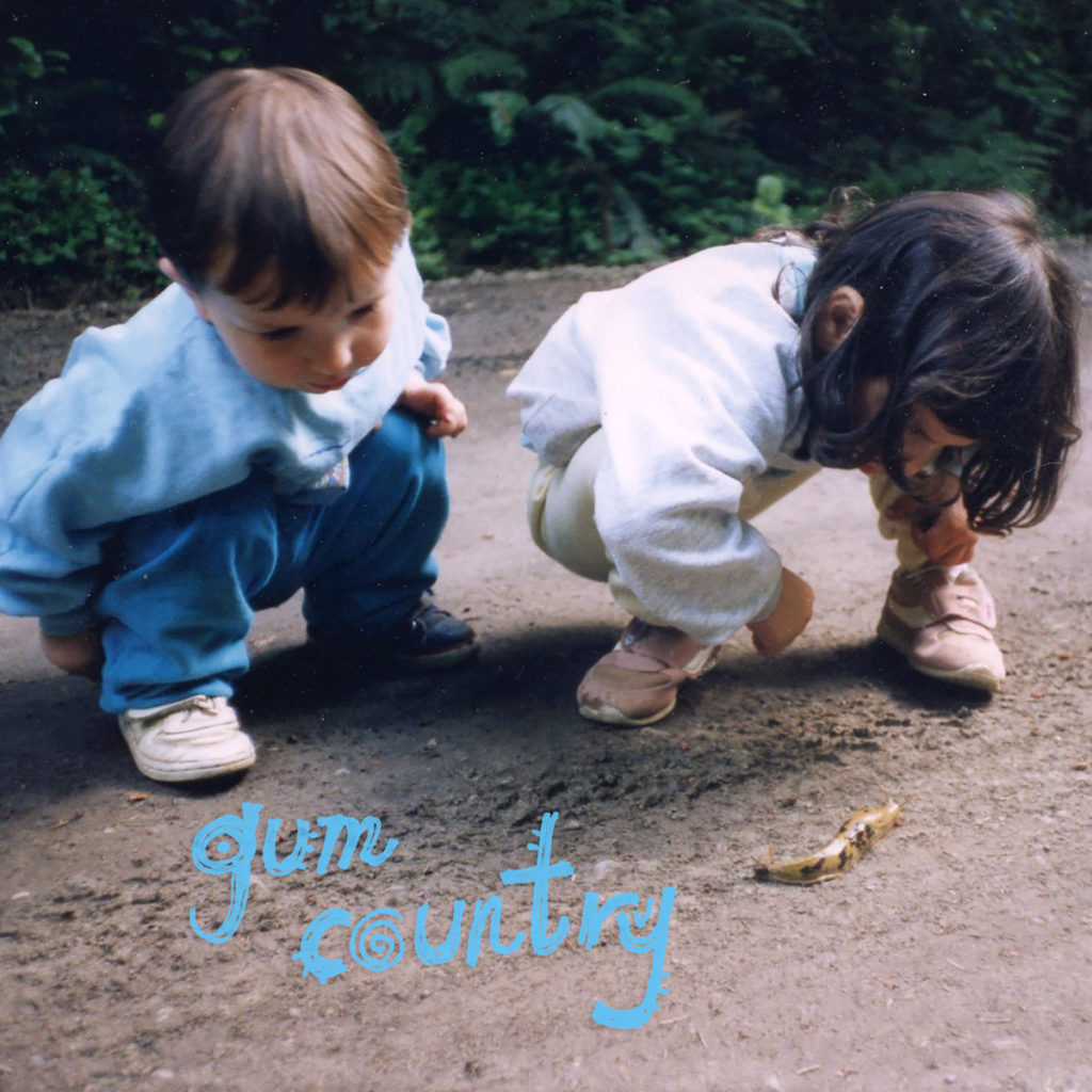 gum country self titled album art