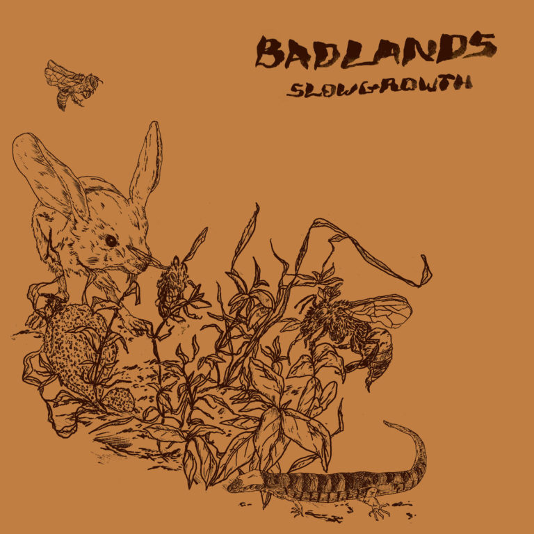 badlands slow growth album art