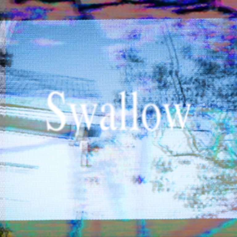 Dead Sullivan Swallow cover