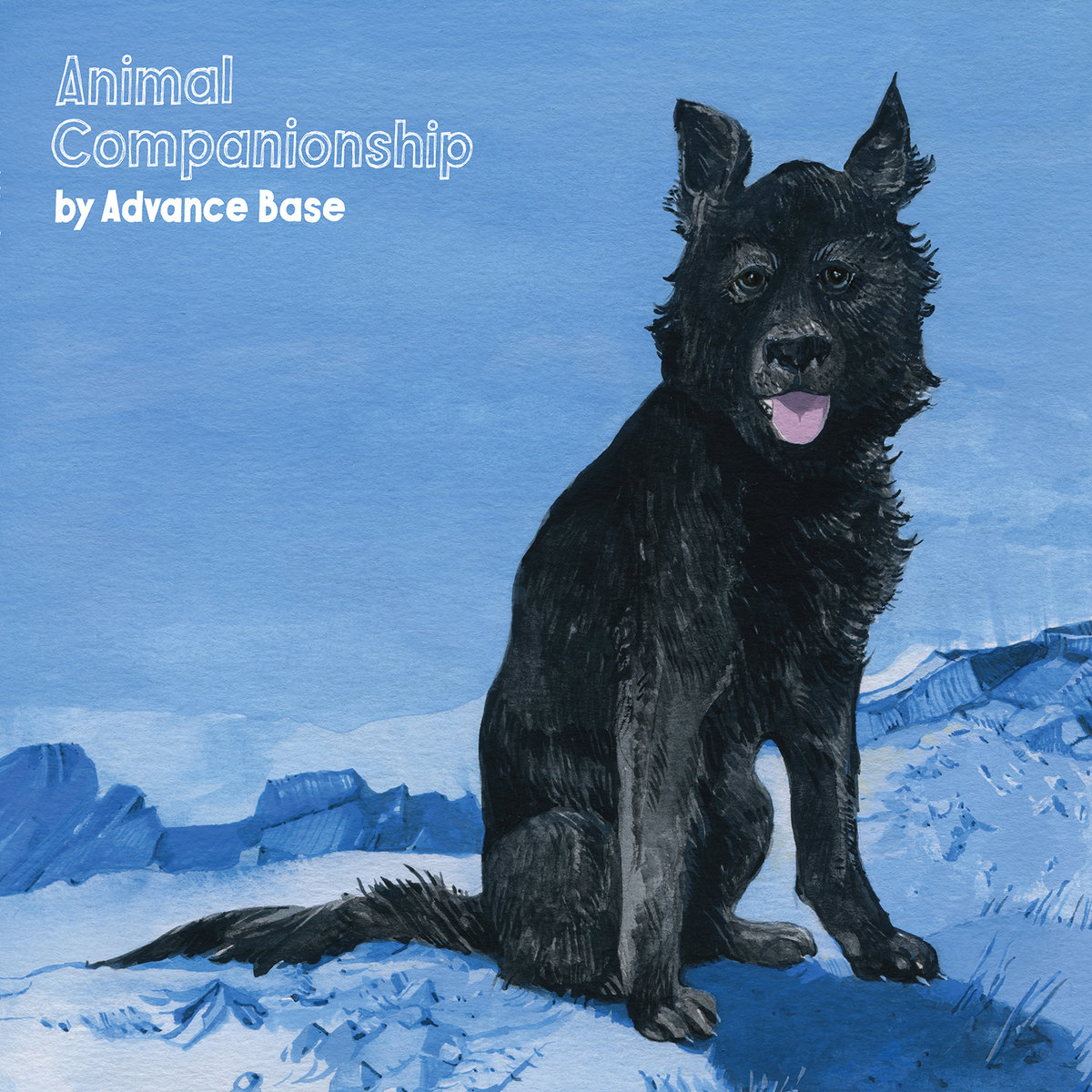 Advance Base animal companionship artwork