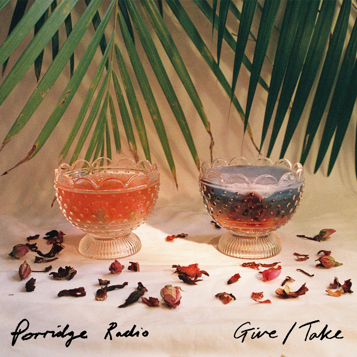 Porridge Radio give take album art