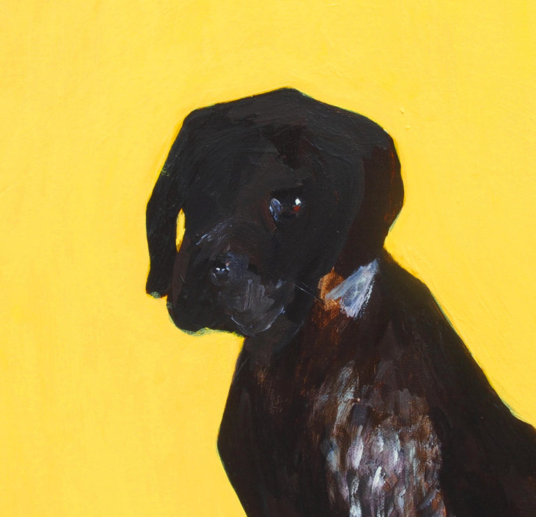 oscar lush black dog cover painting of dog on yellow background