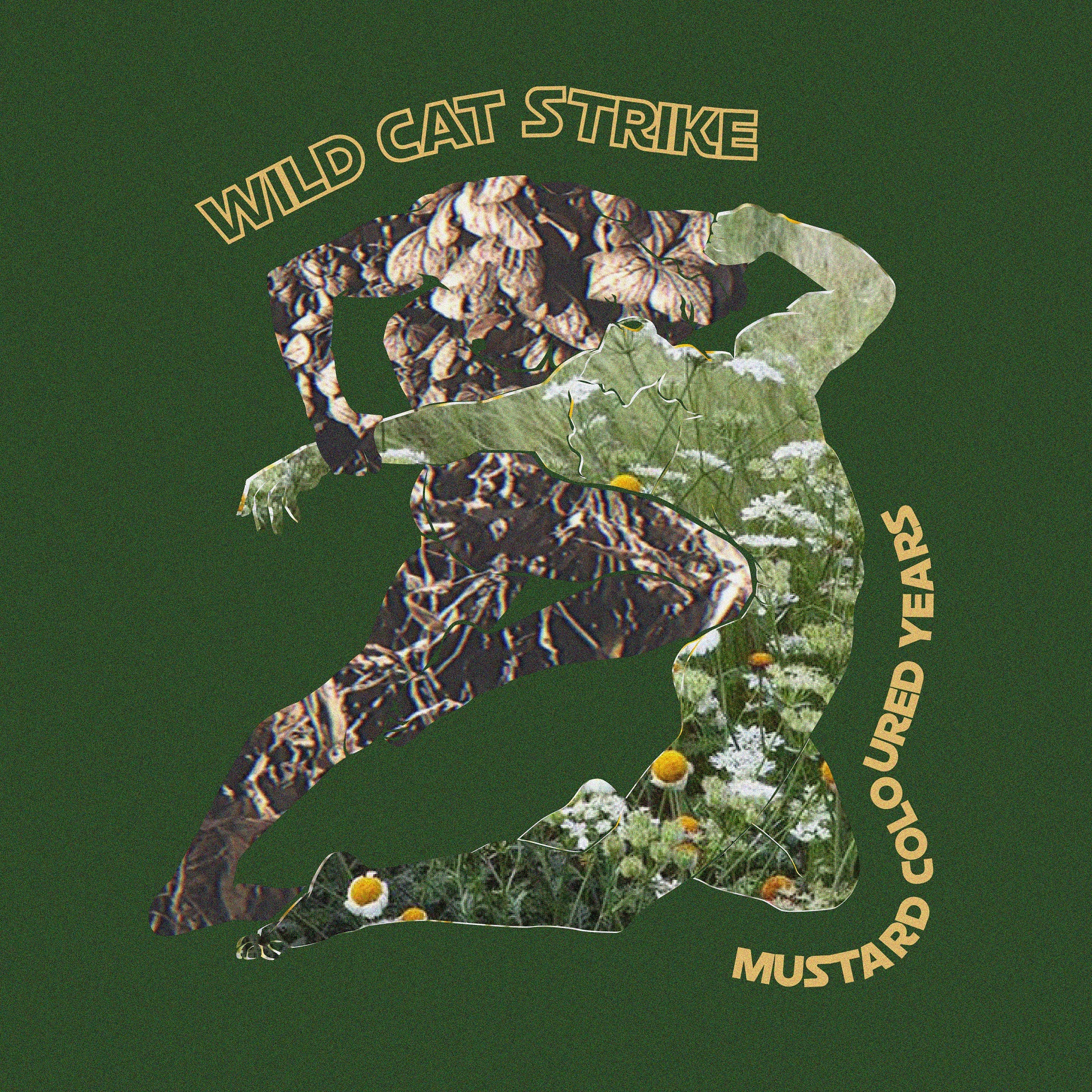 artwork for Mustard Coloured Years by Wild Cat Strike