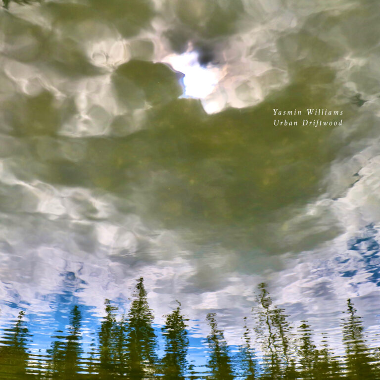 yasmin williams urban driftwood cover art - a photograph of a reflection of trees and clouds on water
