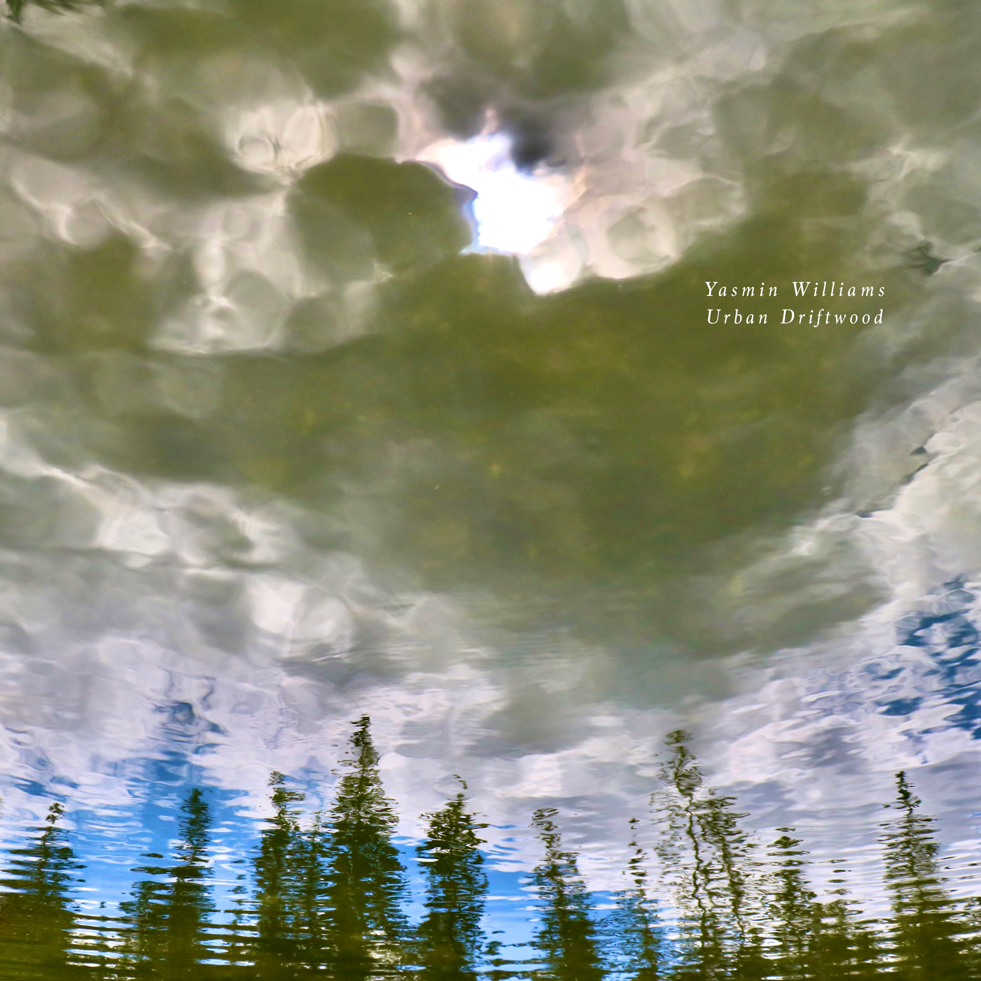 yasmin williams urban driftwood cover art - a photograph of a reflection of trees and clouds on water