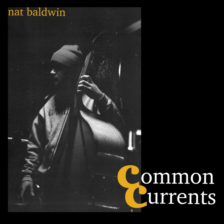 Artwork for Common Currents by Nat Baldwin
