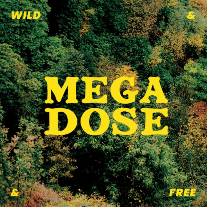artwork for Wild & Free by Megadose