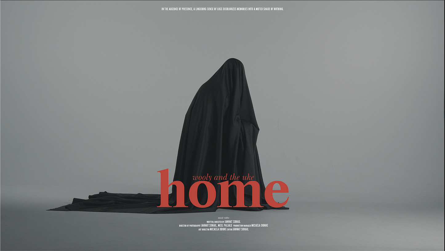 the poster for Home by Wooly and the Uke