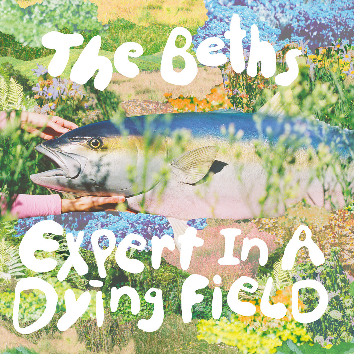 The Beths Expert in a Dying Field album art - hands hlding a giant model fish against a green background