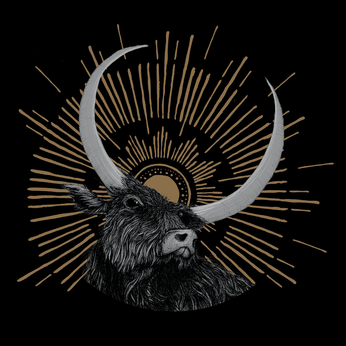 katie kim hour of the ox akbum art - illustration of an ox on a dark background