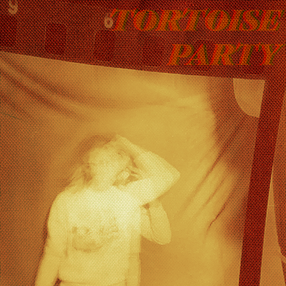 A blurred sepia tone photograph with the text Tortoise Party