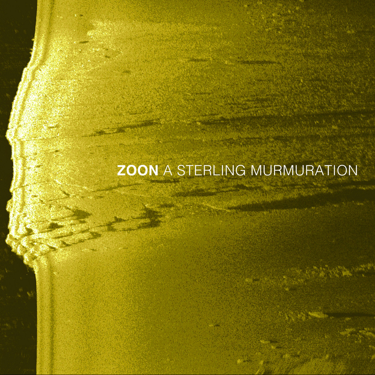 artwork for A Sterling Murmuration, the new EP from Zoon, featuring a yellow landscape