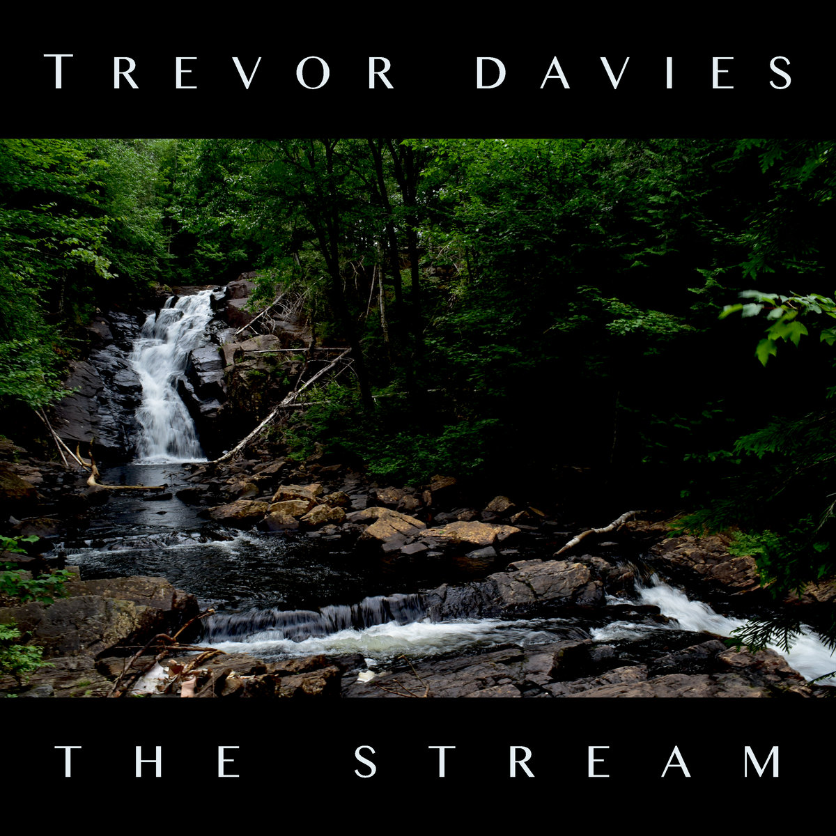 trevor Davies the stream EP artwork - photo of a stream in a woodland