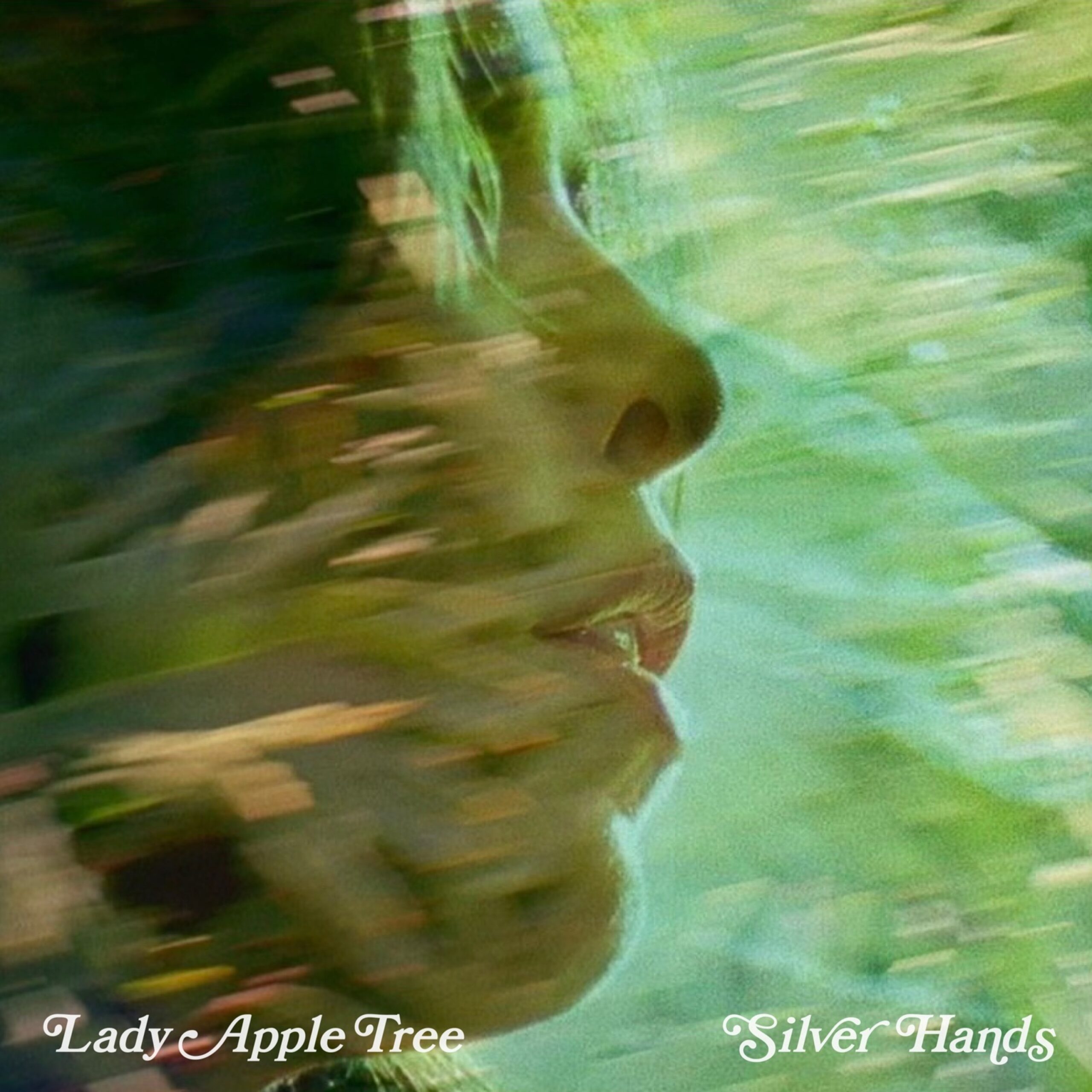 artwork for Silver Hands by Lady Apple Tree