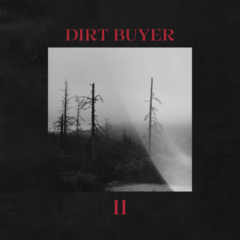 artwork for Dirt Buyer II by Dirt Buyer on Bayonet Records