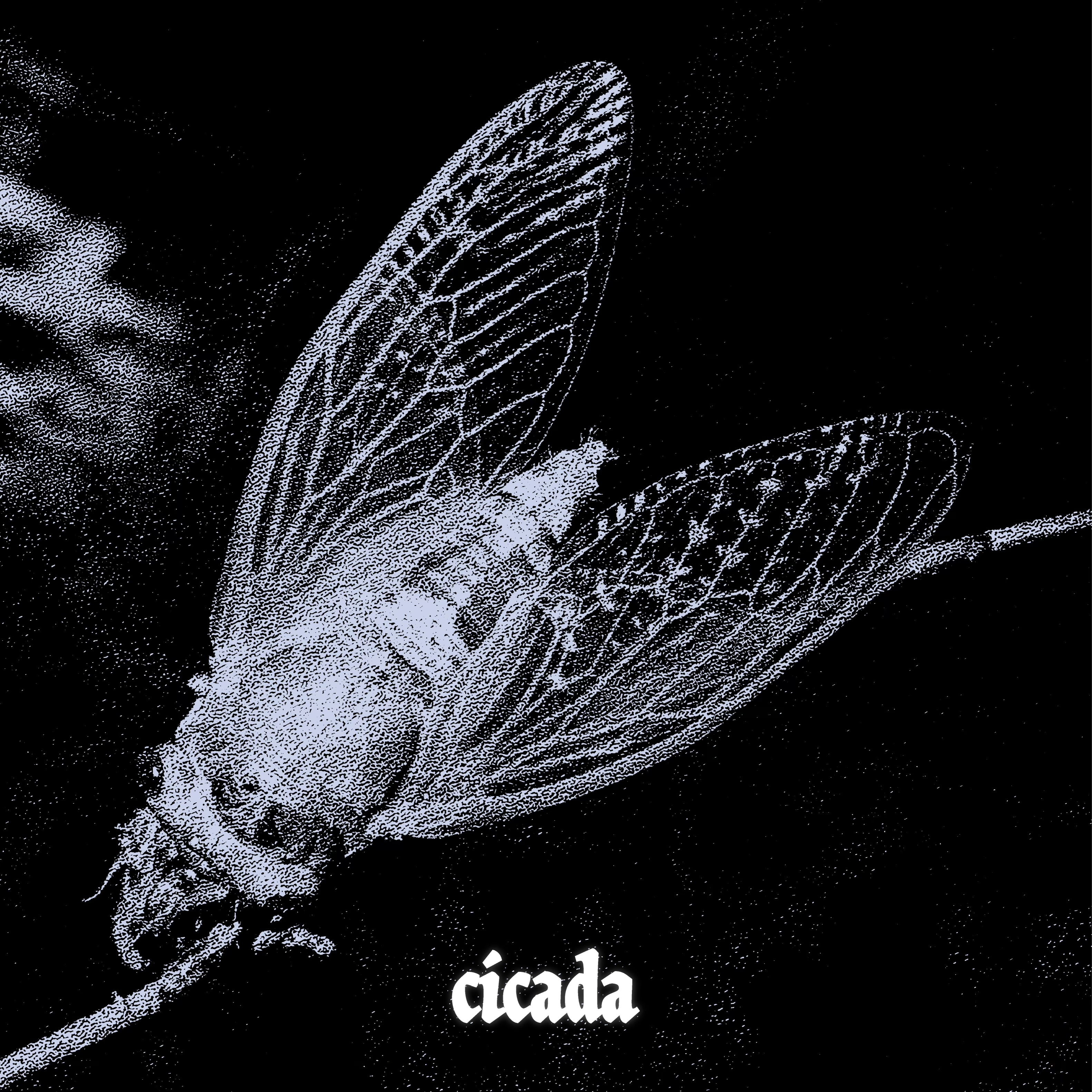 artwork for Cicada by Signs Everything