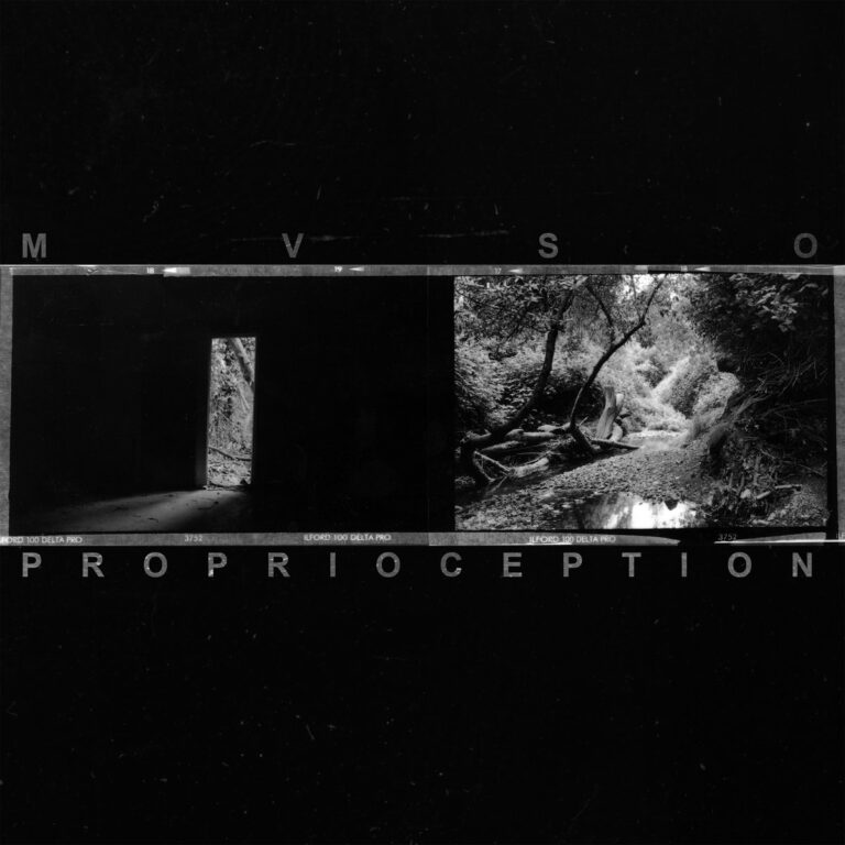 Artwork for Proprioception by MVSO