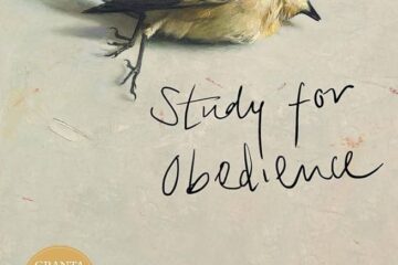 the cover of Study For Obedience by Sarah Bernstein on Granta Books