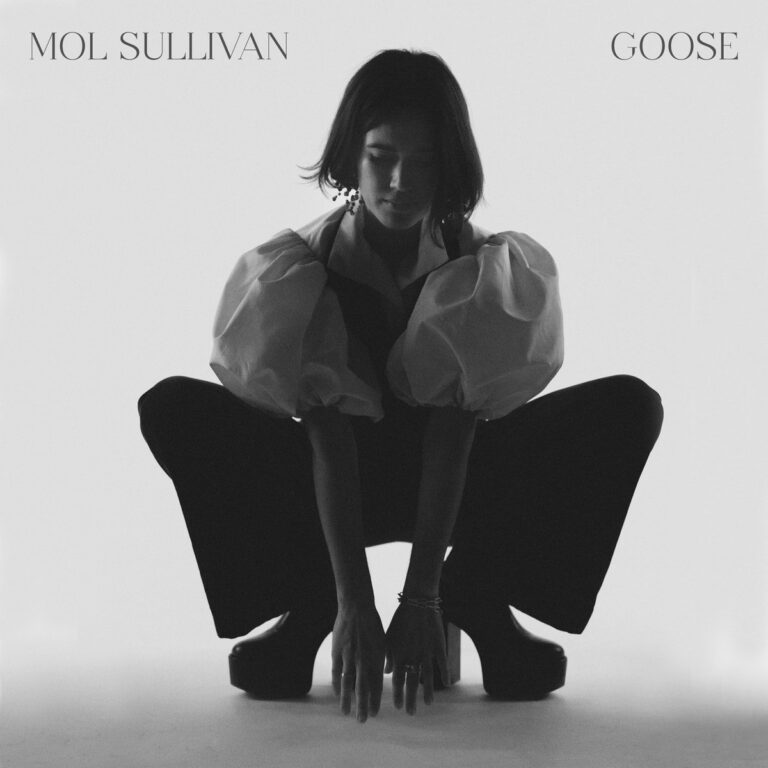 mol sullivan goose album art