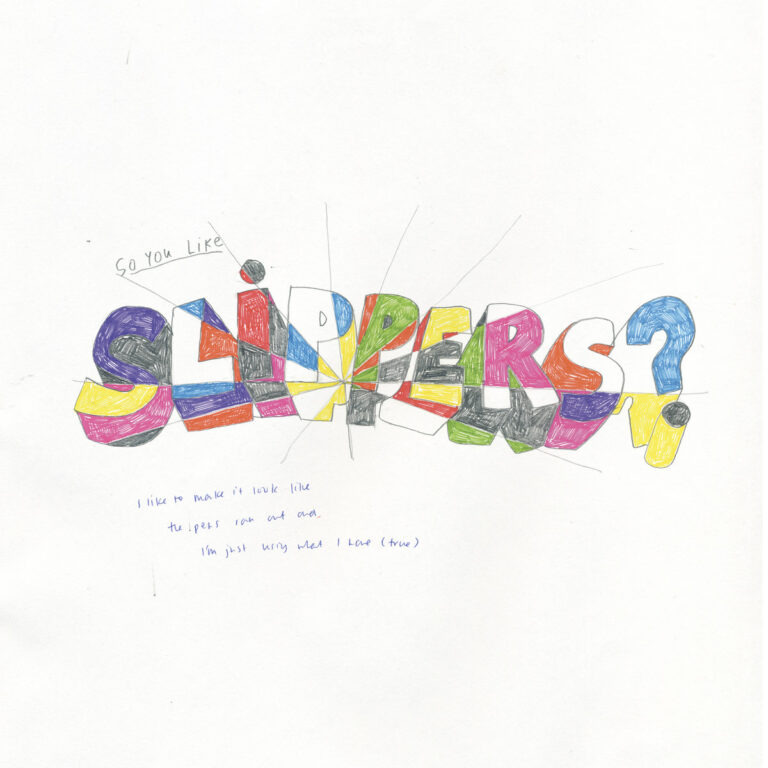 slippers so you like slippers album cover