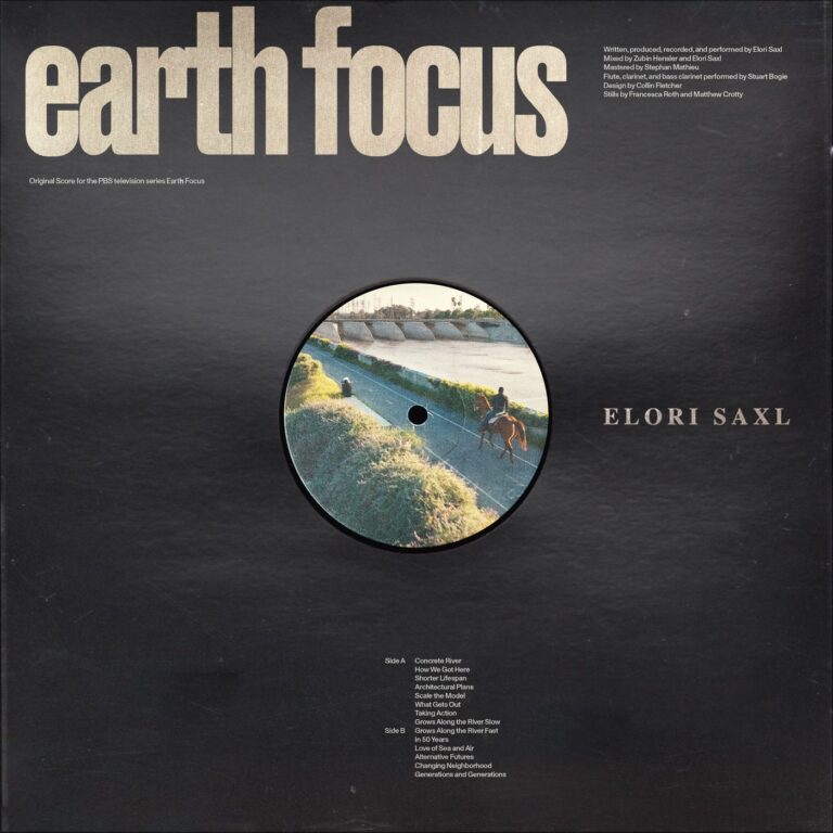 art for Earth Focus by Elori Saxl