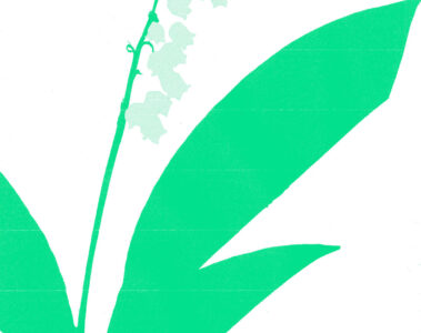 22º Halo lily of the valley album art - green illustration of a flower