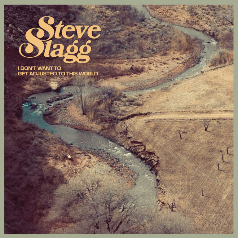 artwork for I Don't Want to Get Adjusted to This World by Steve Slagg