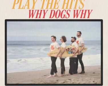artwork for Play The Hits by Why Dogs Why