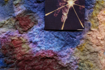 artwork for Soil//Blackflies by Burs