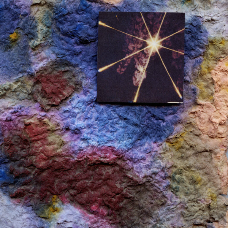 artwork for Soil//Blackflies by Burs